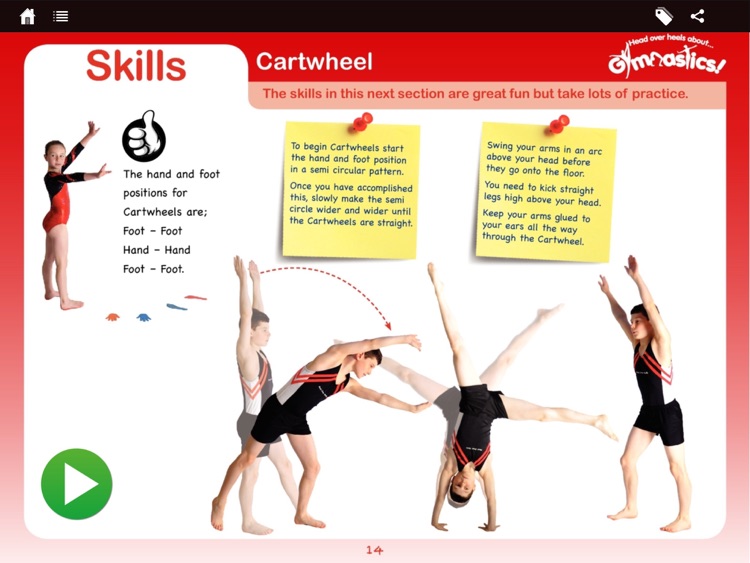 Head Over Heels About Gymnastics for Education