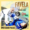 Fernando Terere Favela BJJ Vol. 1 Open Guard Passes
