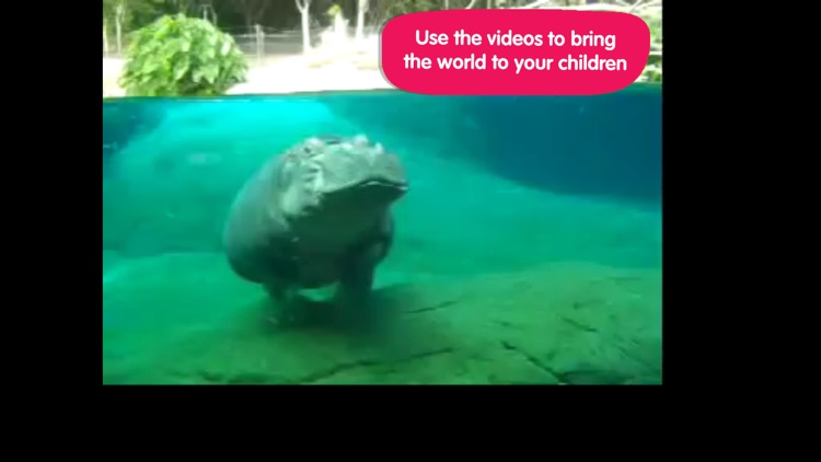 ABC Wildlife screenshot-3