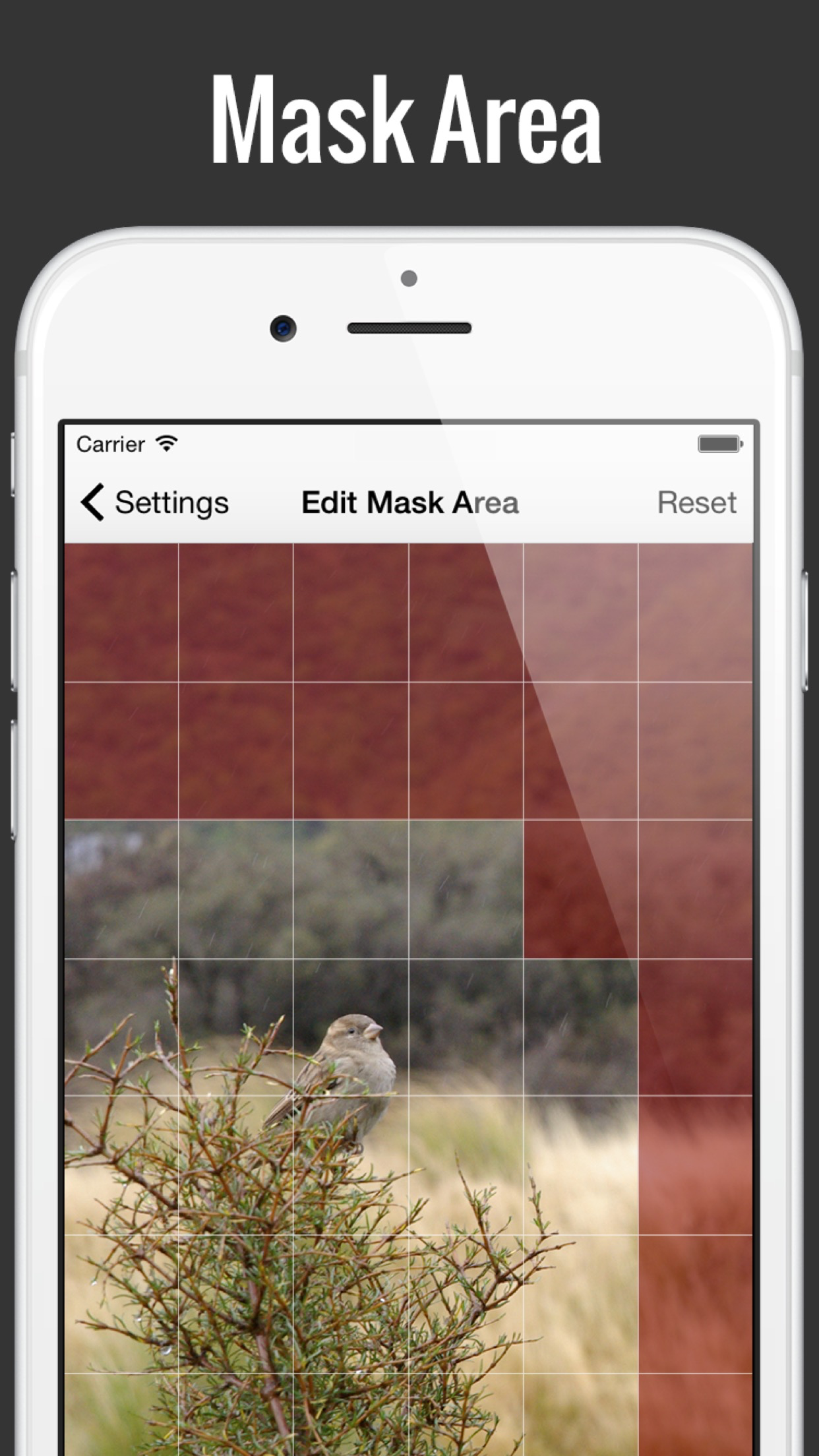 Karakuri Camera - Auto Shutter & WEB Monitoring
