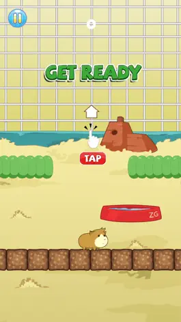 Game screenshot Guinea Pig Escape! - Jump Fall Cage Hero apk