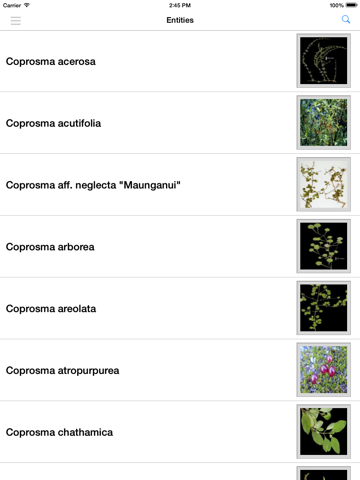 Screenshot #6 pour NZ Coprosma Key