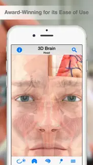 pocket brain iphone screenshot 1