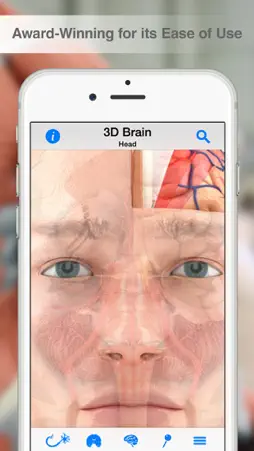 Pocket Brain screenshot 1