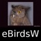 Birds of the World - eBirdsW - A Bird App is a member of the World Life Forms family of products designed to provide easy to use, powerful tools for accessing images and information of the world's diverse life forms