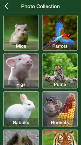 Game screenshot Animal Jigsaw Puzzle - Ultimate swap tile game edition apk