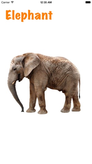 1st Animal Book(圖2)-速報App