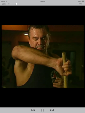 Screenshot #4 pour Martial Arts Masters