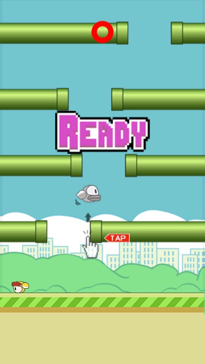 Rolly Bird - The Bird That Can't Fly