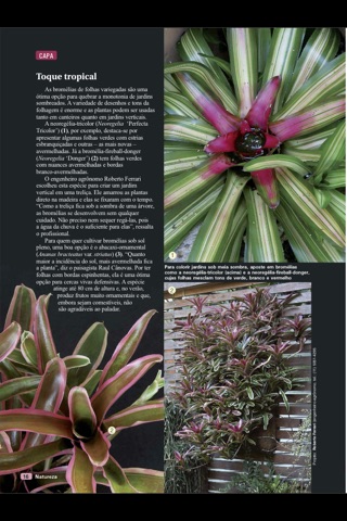 Revista Natureza Brasil screenshot 4