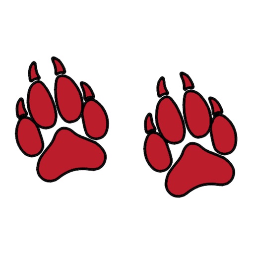 Ktunaxa "Jigsaw Puzzles"