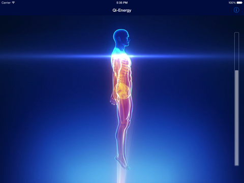 Screenshot #4 pour Qi-Energy