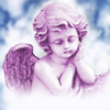 Engel und Schutzengel - Botschaften vom Himmel, Affirmationen & Engelskarten! - Mario Guenther-Bruns