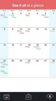 worktime - work schedule, shift calendar & job manager iphone screenshot 3