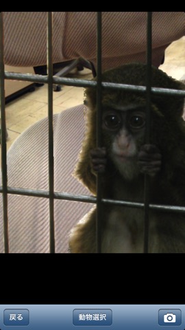 上野動物園ナビのおすすめ画像5