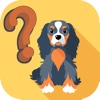 Dog Breeds Trivia Quiz for Dogs Lovers