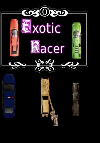 Exotic Racer screenshot 3