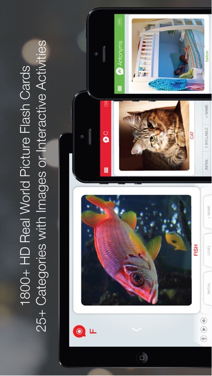 Word Vault Pro