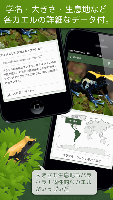 Screenshot #3 pour あわしま世界のカエル図鑑FREE