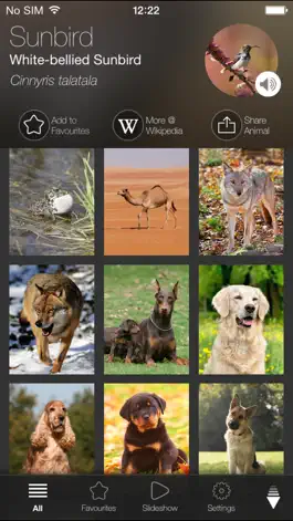 Game screenshot Animal Explorer Free: Sounds and Photos mod apk