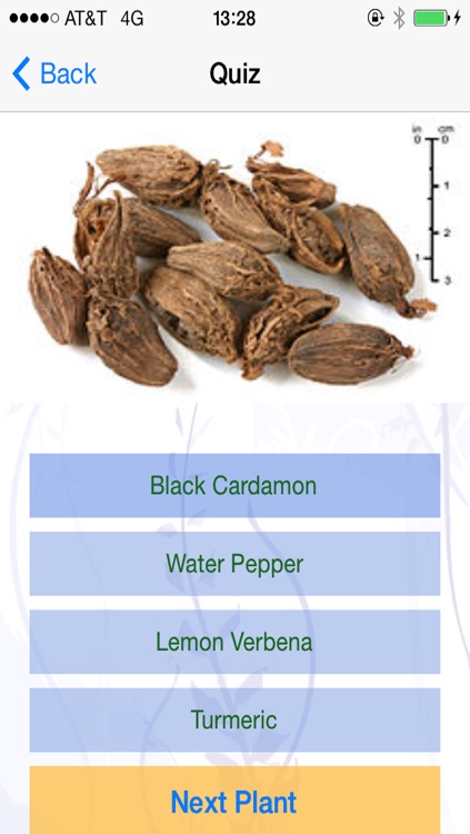 Herb n Spice ID screenshot-4