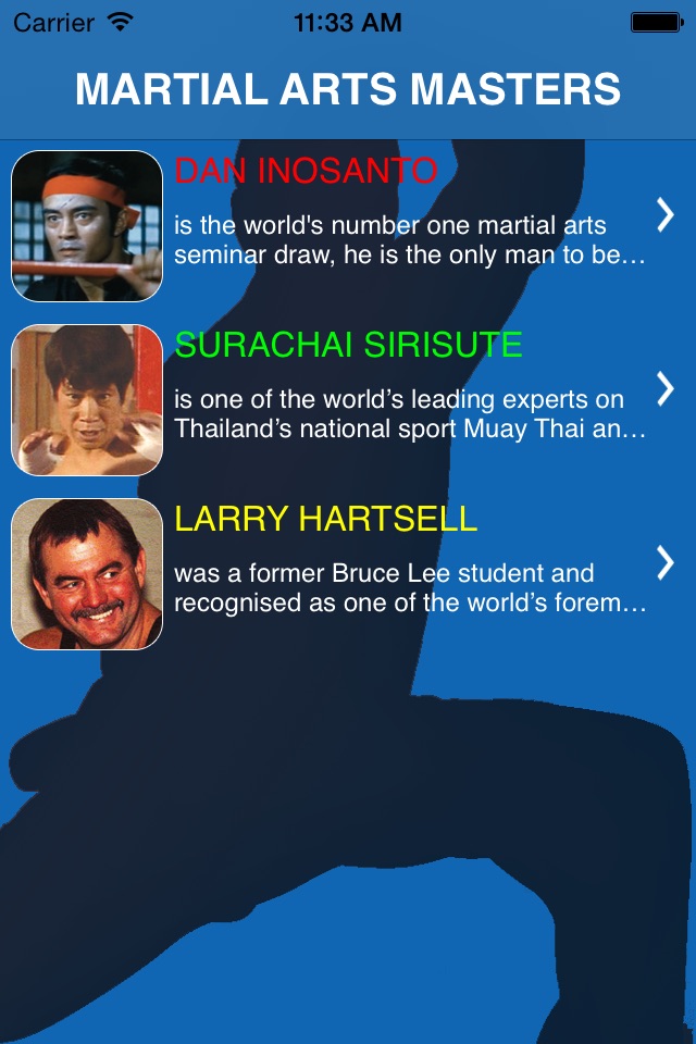 Martial Arts Masters screenshot 3