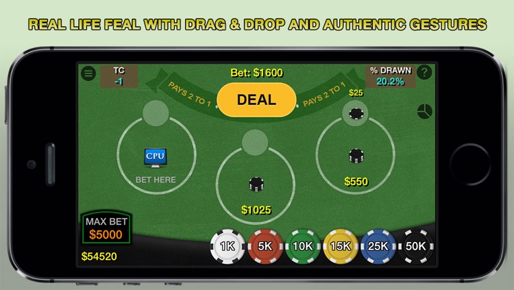 Blackjack 21 Professional Simulator (21 Pro Sim) (Vegas Casino Fun)