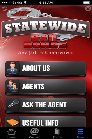 Statewide Bail Bonds screenshot 4