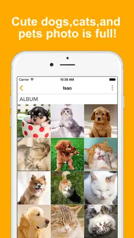 Game screenshot OurPets - Dogs and Cats and Pets Photo Album App apk
