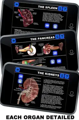 Game screenshot Anatomy 3D - Organs mod apk