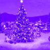 Christmas App - World's Best Christmas Music Video Songs, Xmas Trees & Santa Claus Photos on Instagram, Twitter and Facebook