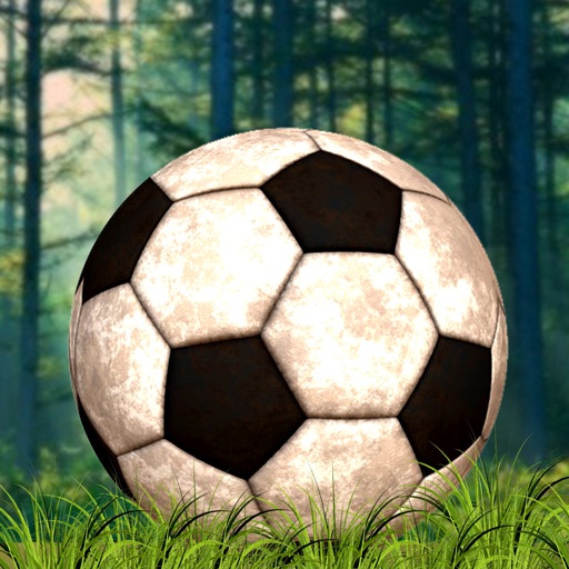 Wild Football Penalty ShootOut - cool soccer player game Icon