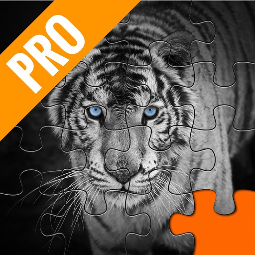 Black And White Jigsaw Pro Edition -  Everyday Quest Collection iOS App