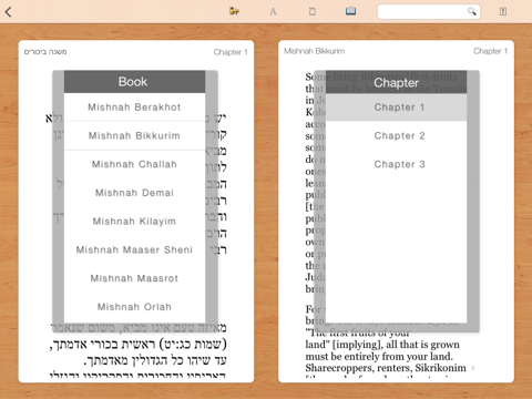 Screenshot #6 pour Library of Jewish Texts