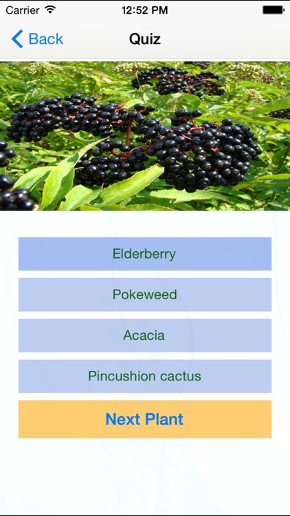 Edible and Poisonous Plants