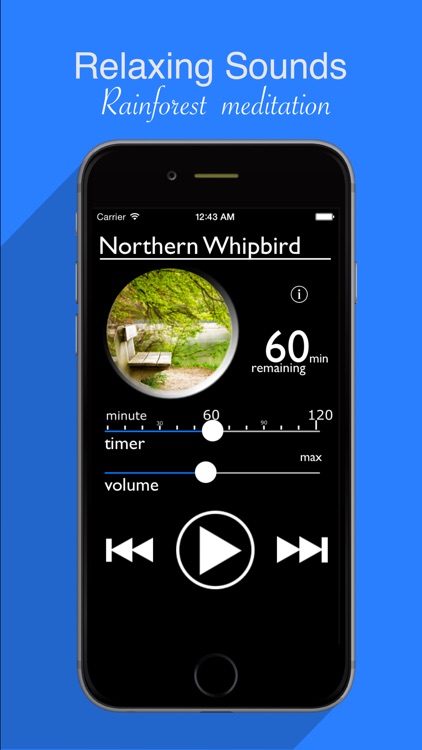 White Noise : Sleep Maker Relaxing Rainforest Therapy
