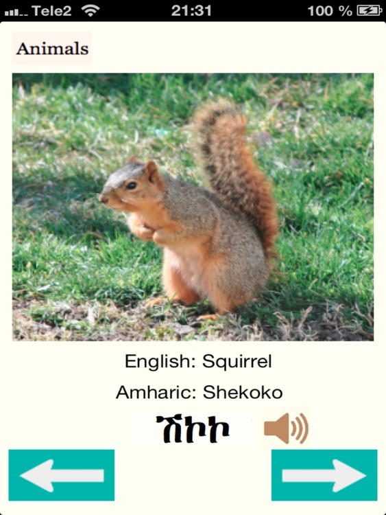 Animals in Amharic Audio screenshot-3