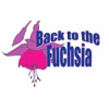 Back To The Fuchsia