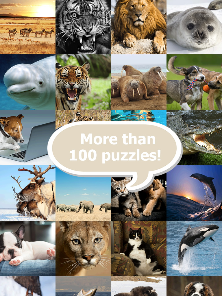 Animal Puzzle Game HD