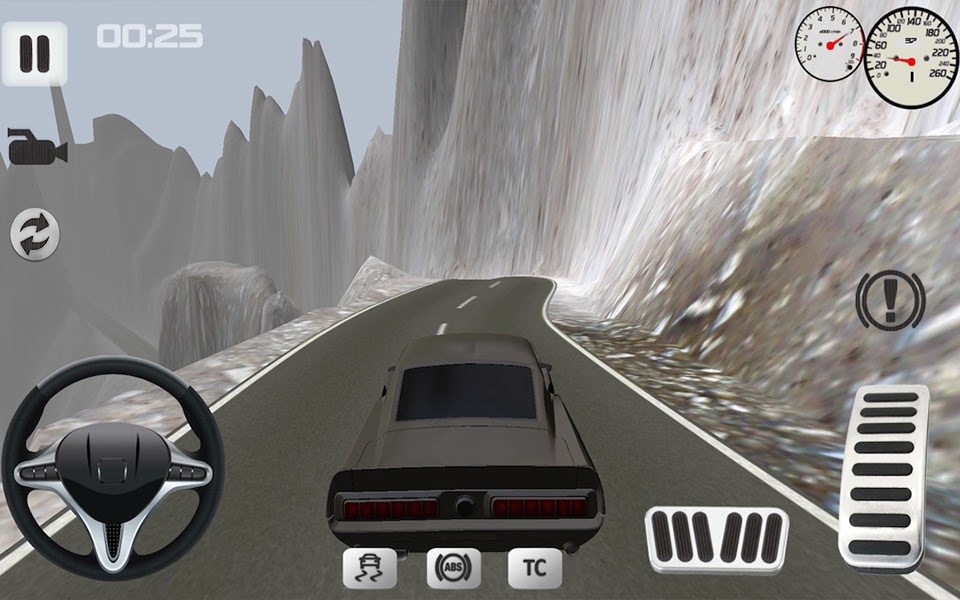 Offroad Car Simulator screenshot 3