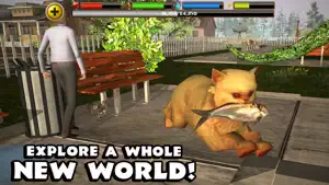 Stray Cat Simulator screenshot 5