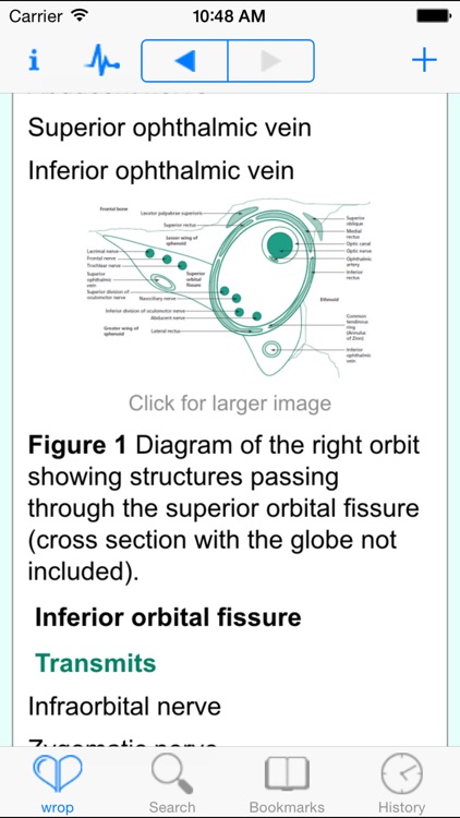 Rapid Ophthalmology