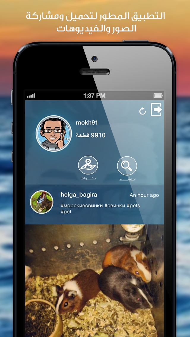 إنستا ريبوست -تحميل و اعادة نشر للانستجرام