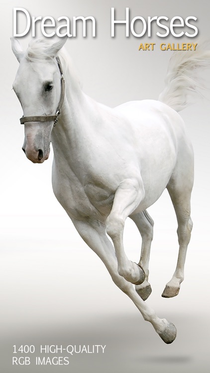 Dream Horses - Art Gallery: Breeds & Types, Racetrack & Tournaments, Photos & Paintings