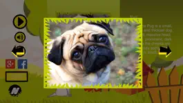 Game screenshot Лучшие собаки звучит apk