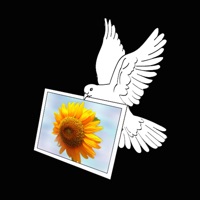 Air Photo Wifi Printing sur PC