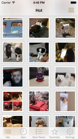 Game screenshot Cute Animals - Aww! apk