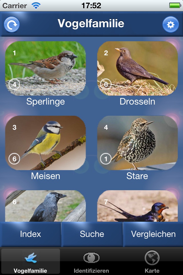 Vogel Id Österreich - Vögel Erkennen und Bestimmen in Natur und Garten screenshot 2