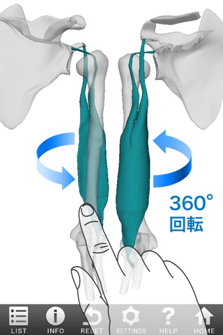 3D筋肉図鑑のおすすめ画像1