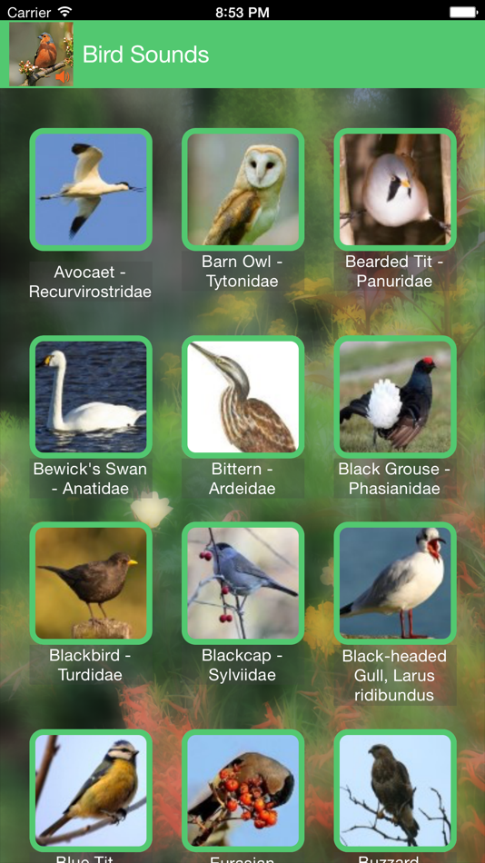 Birds of Britain Sounds - 2.0.1 - (iOS)
